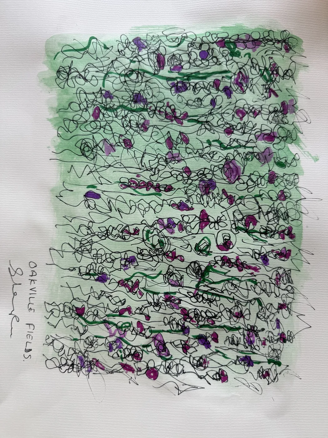 Pen-and-wash lavender field drawing titled Oakville Fields