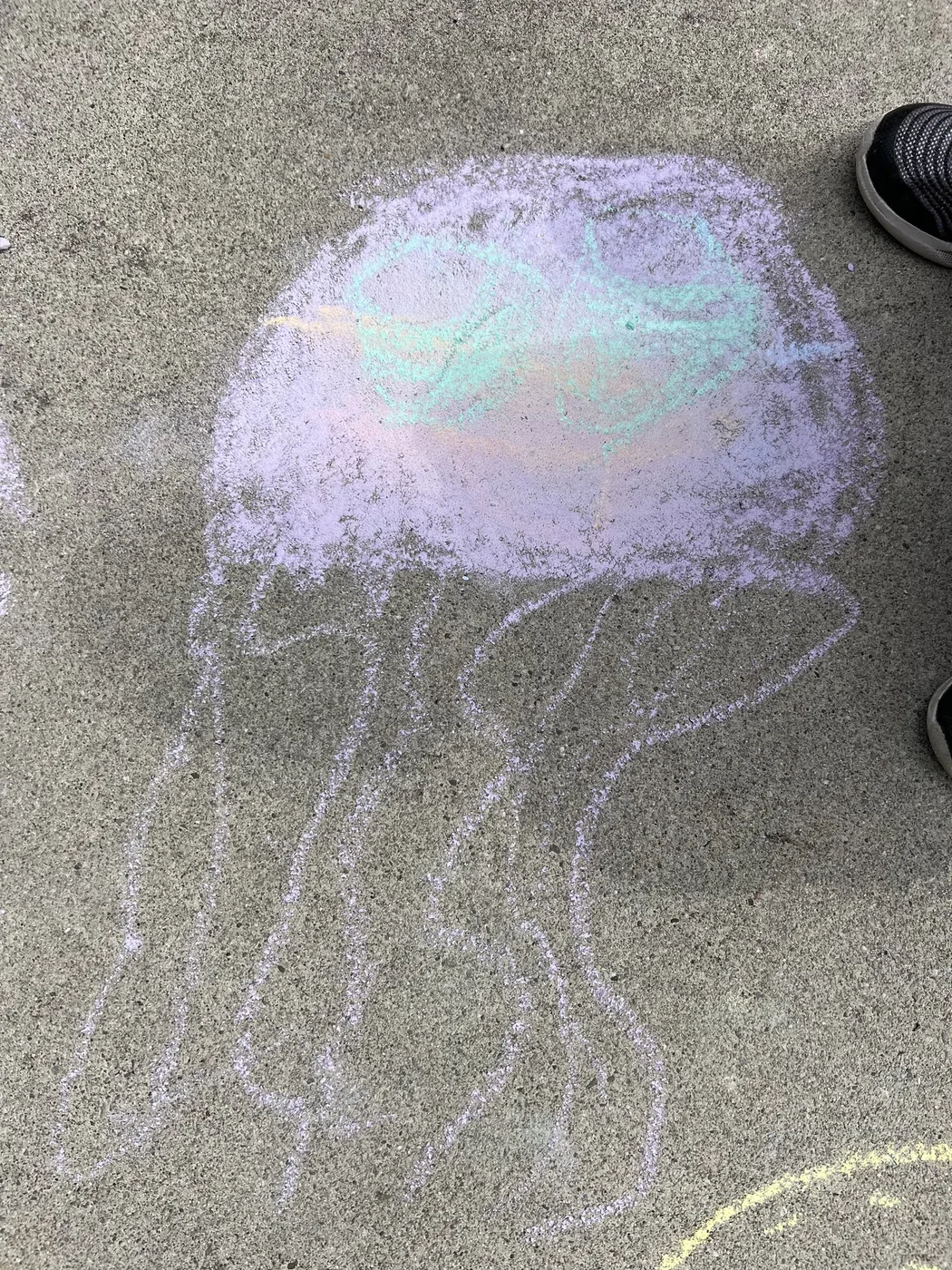 Large lilac chalk jellyfish on concrete