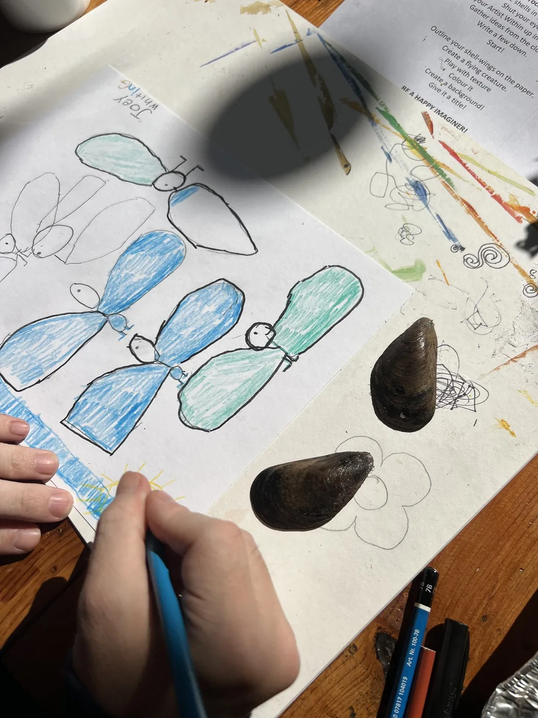 Hand colouring blue insect drawings beside mussel shells