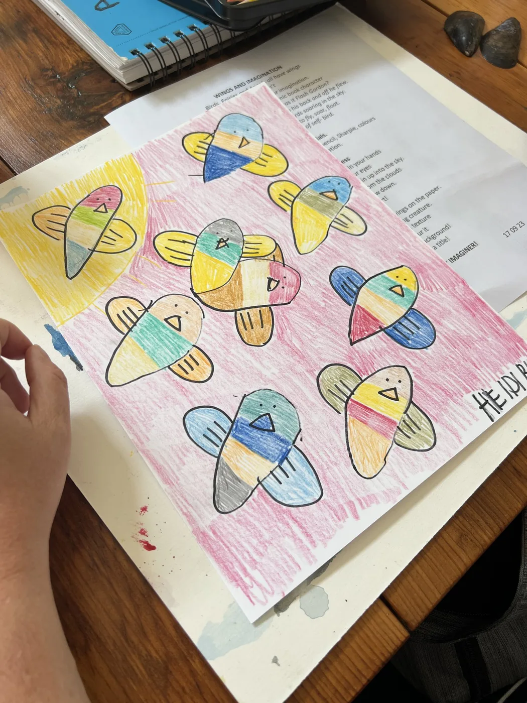 Coloured-pencil bird drawings on a pink sheet