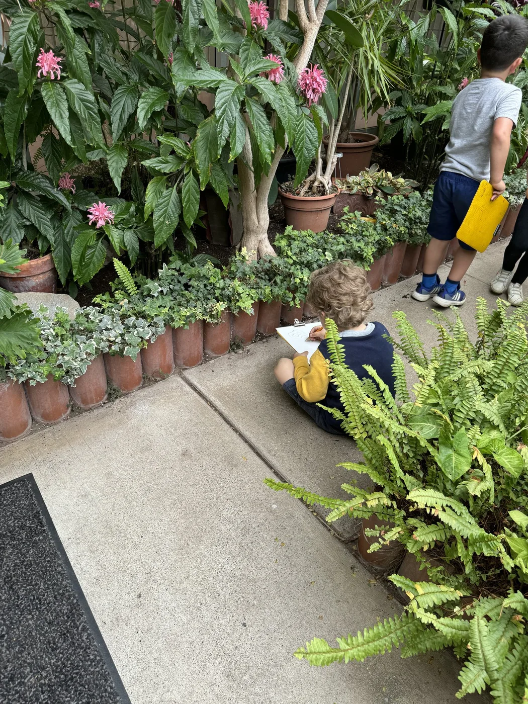 Children sketching among plants in a greenhouse