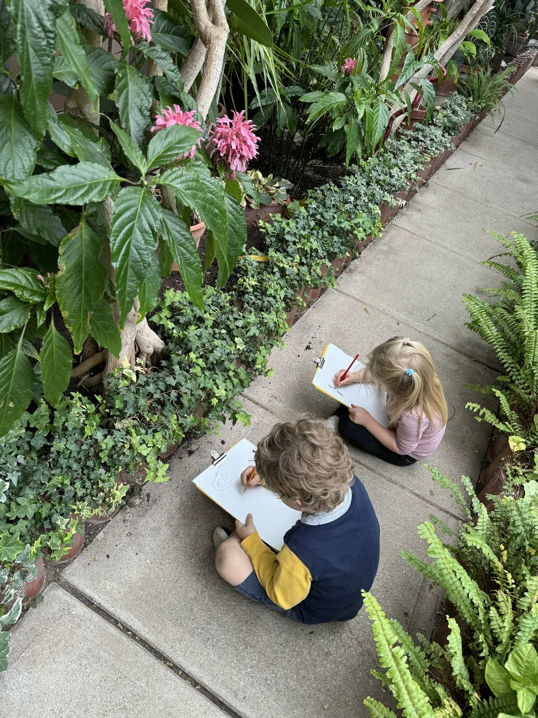 Two children sketching on a greenhouse path