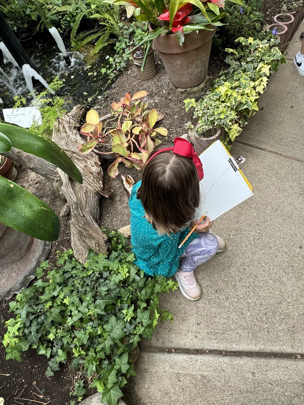 Child with a red bow sketching among plants