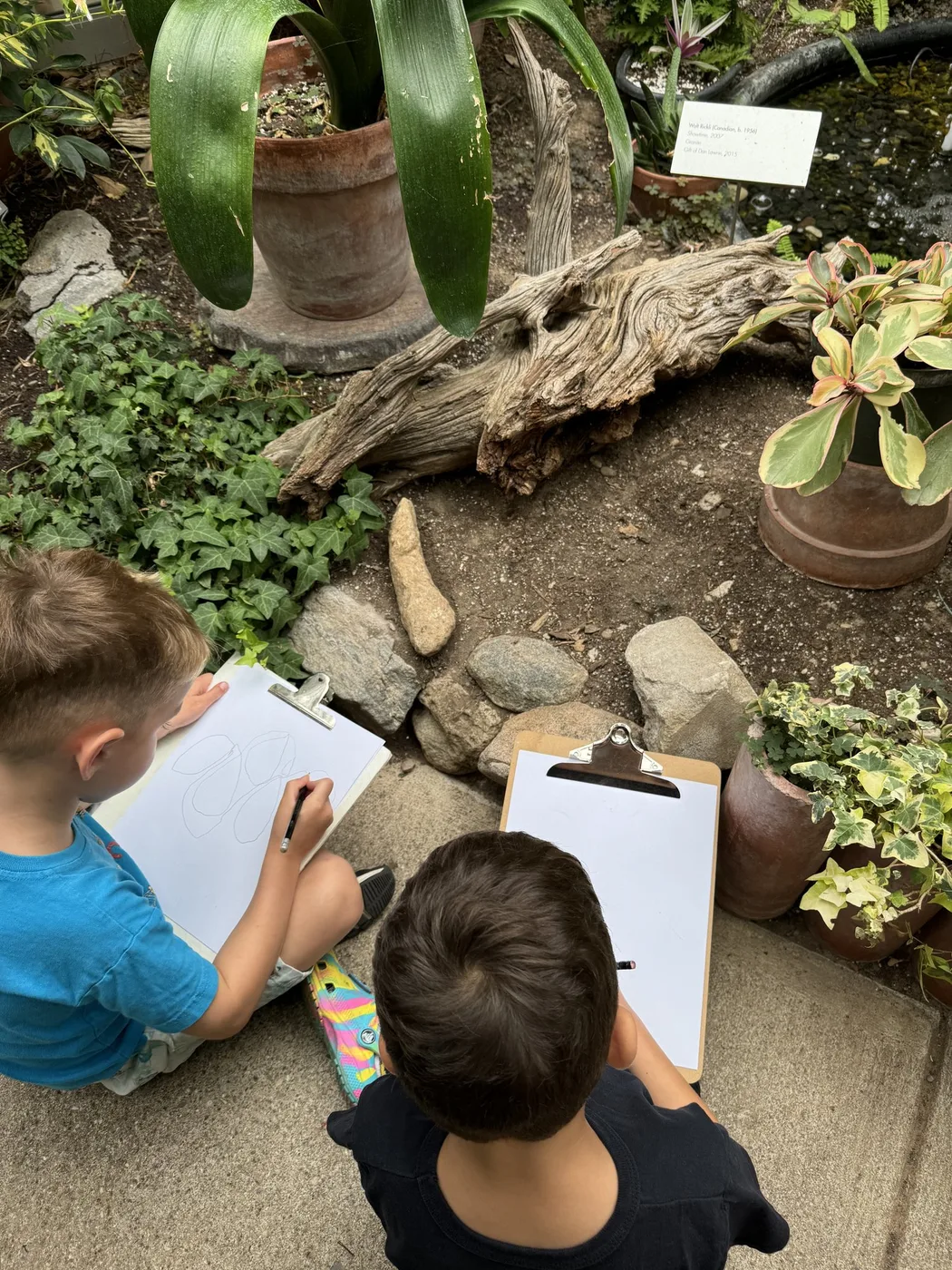 Two children sketching driftwood and plants on clipboards
