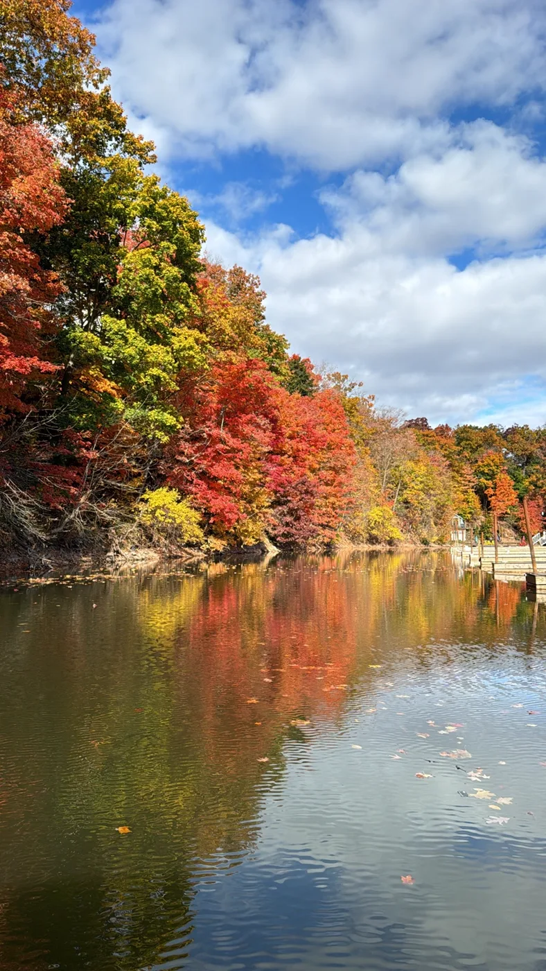 Autumn trees reflected in still water