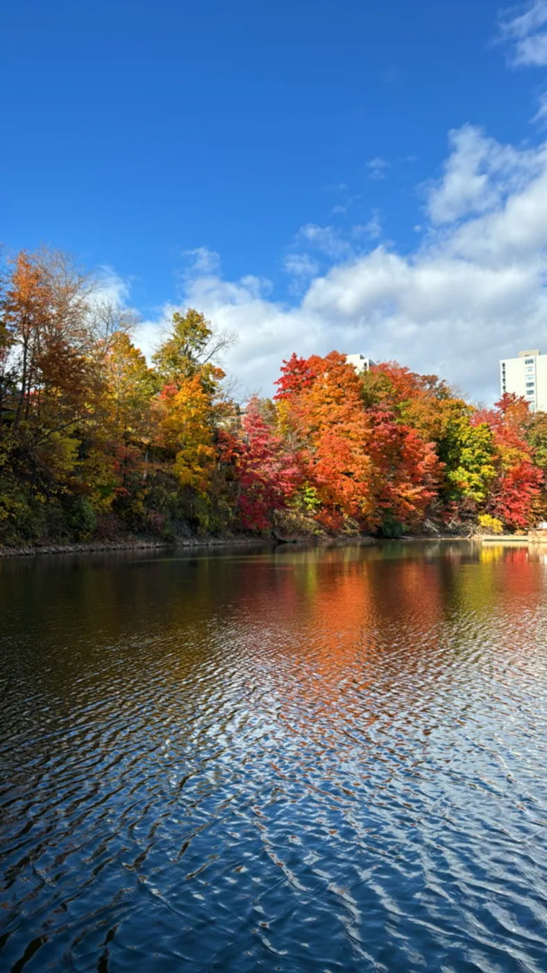 Blue sky and autumn trees beside rippling water