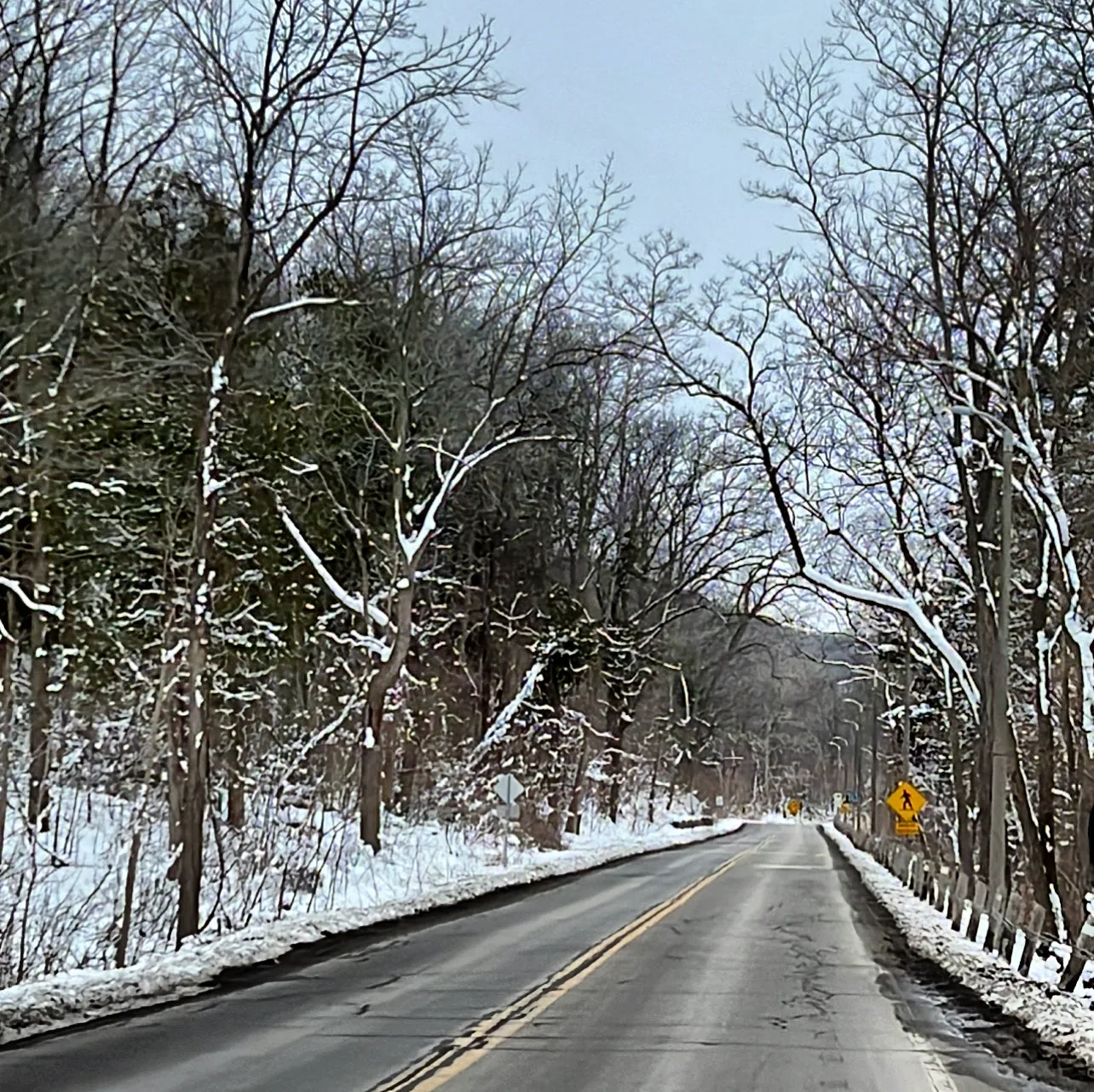 A snow-lined road beneath bare trees