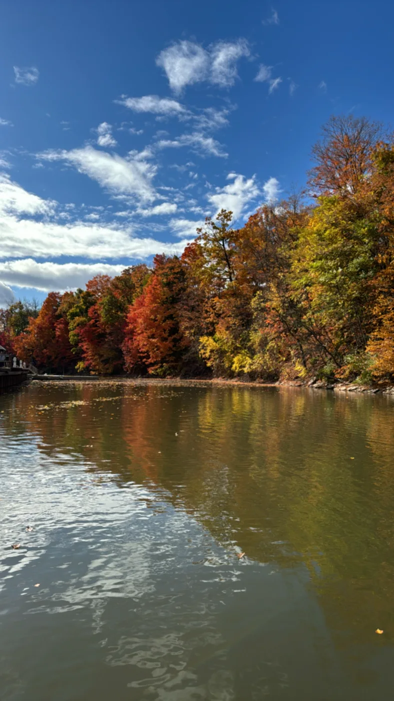 A cloudy sky above an autumn shoreline