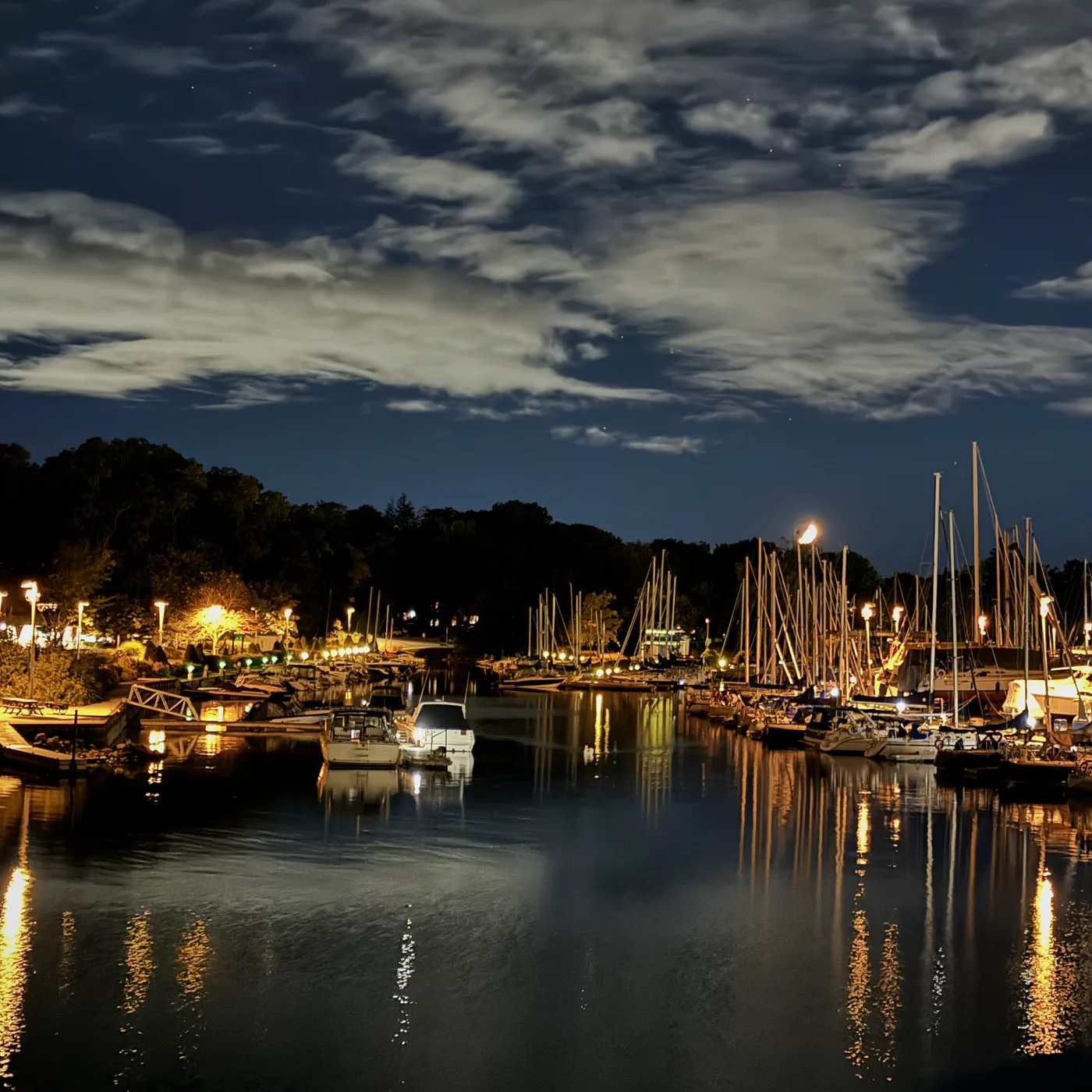 A marina glowing beneath the night sky
