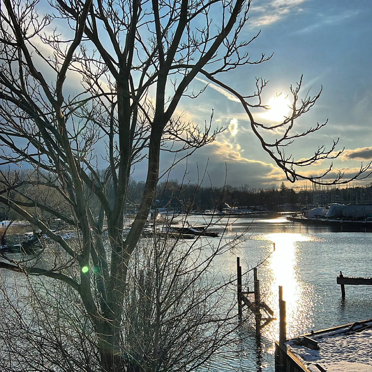 Sunlight on water through bare branches