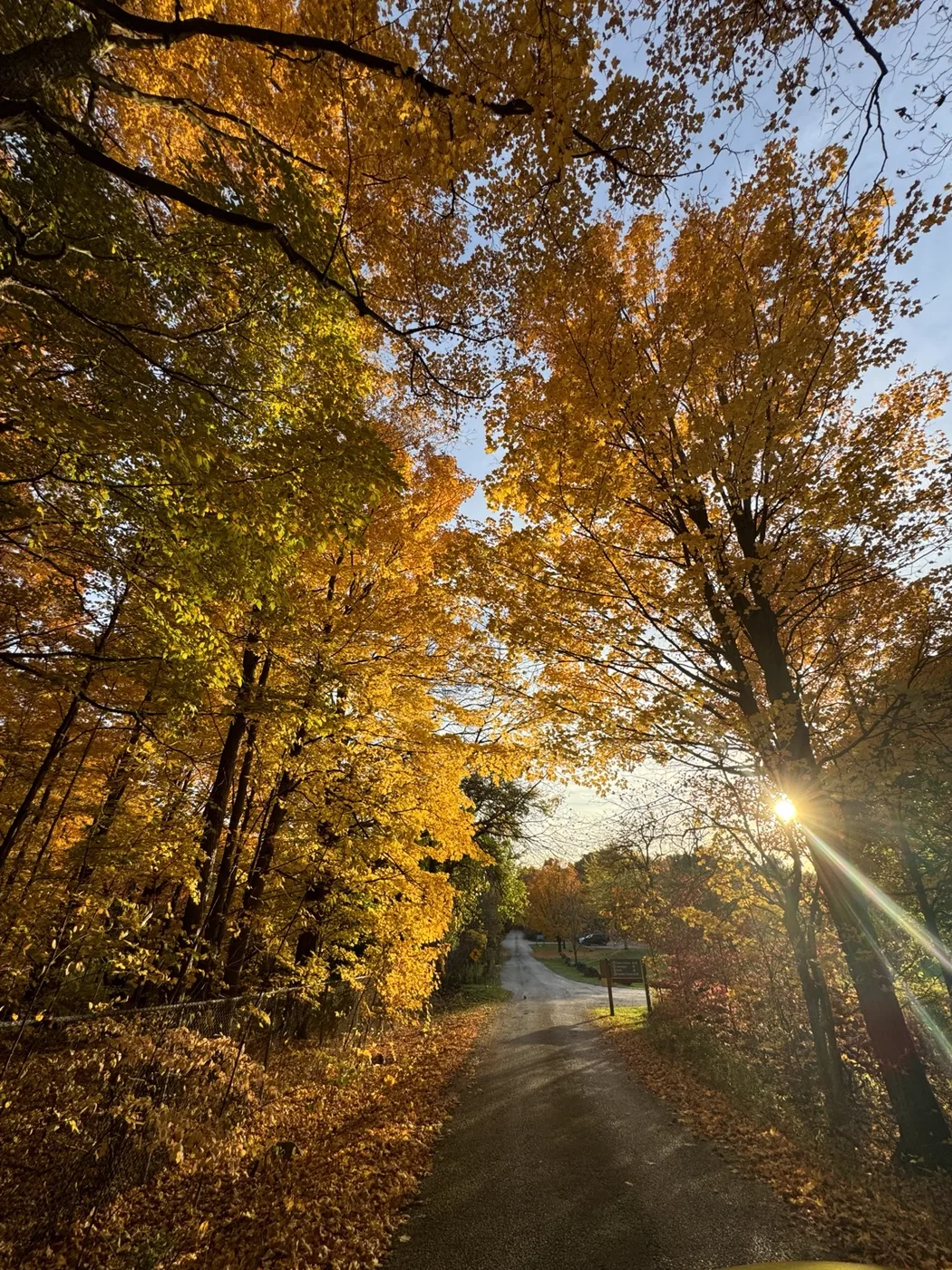 Sunlight at the end of an autumn path