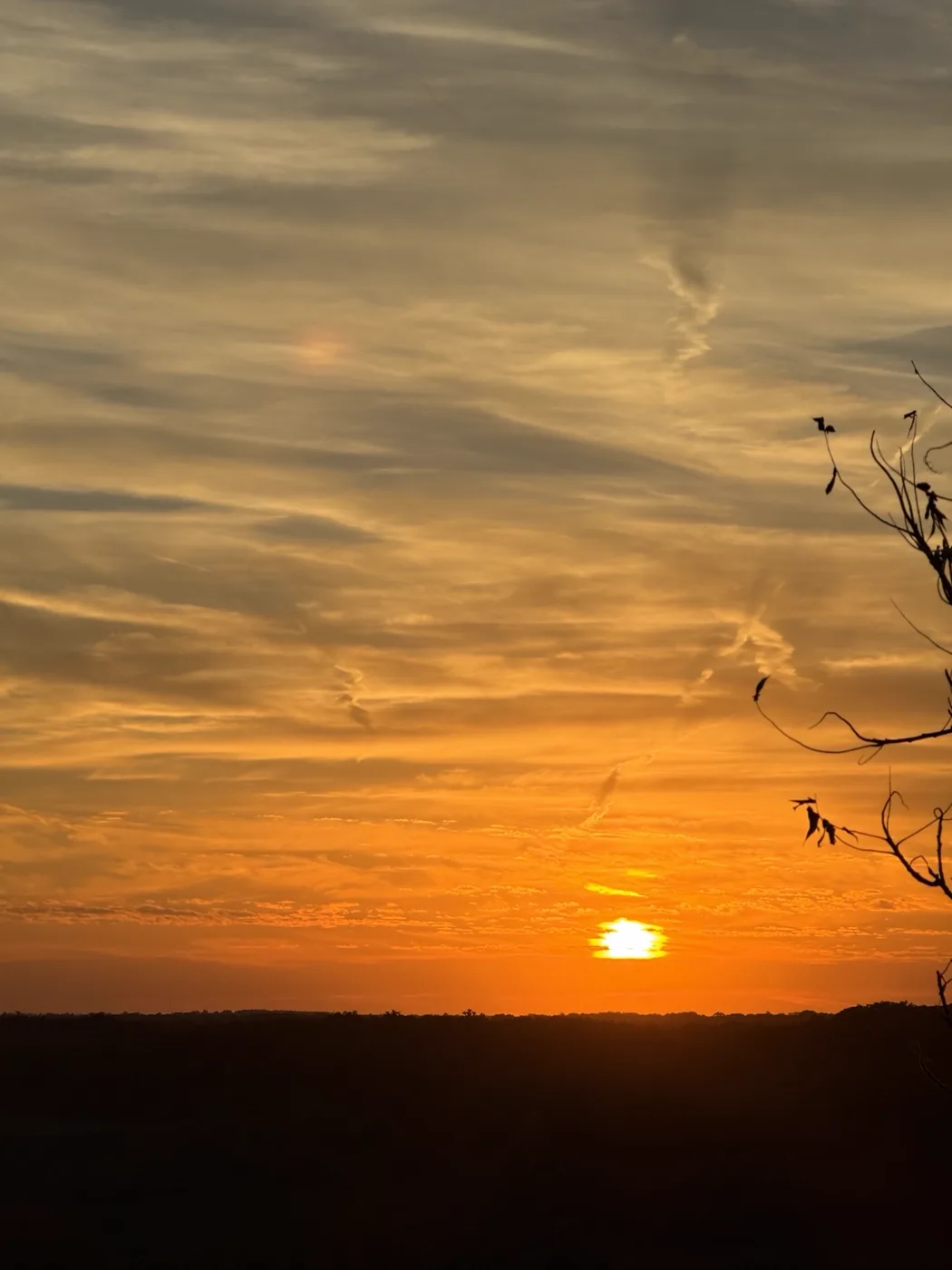 An orange sun at the horizon