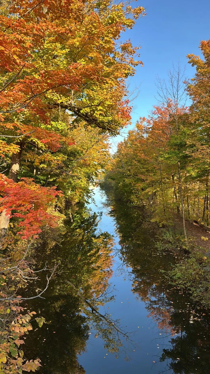 Autumn trees reflected in a narrow waterway
