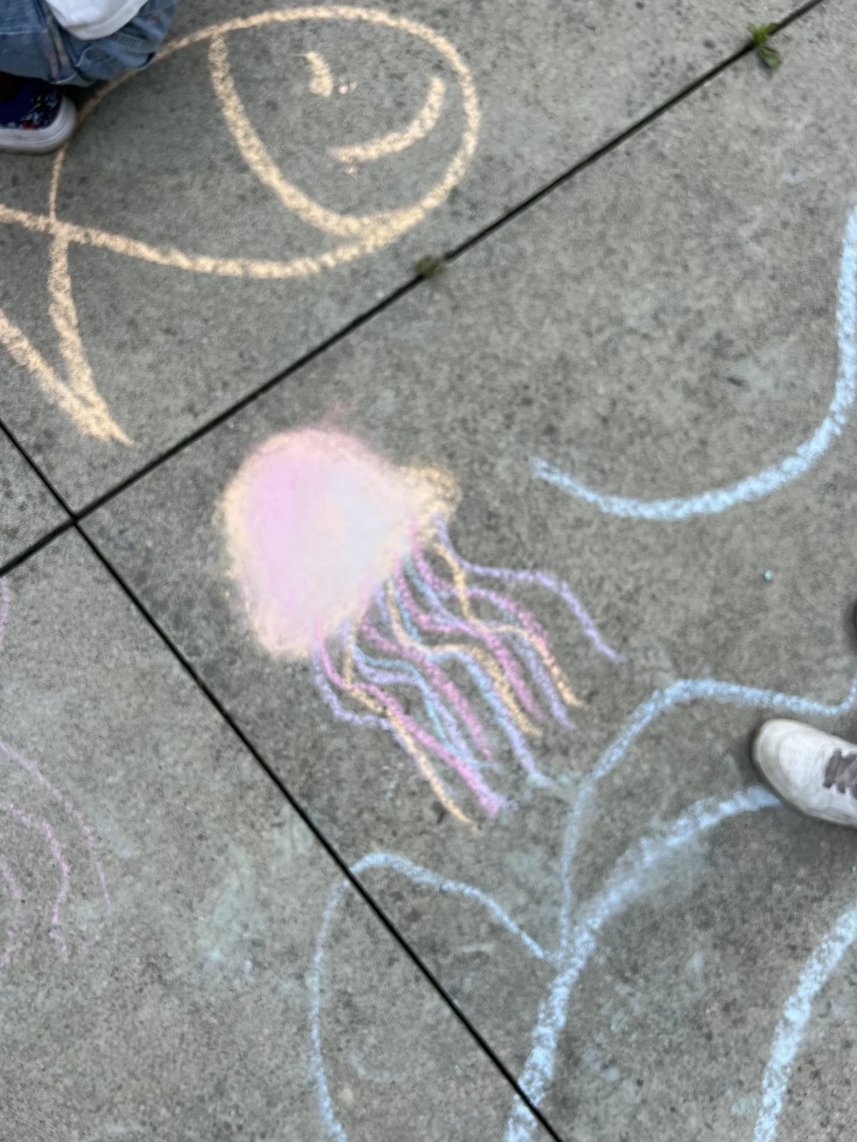 Chalk drawing of a jellyfish on the sidewalk