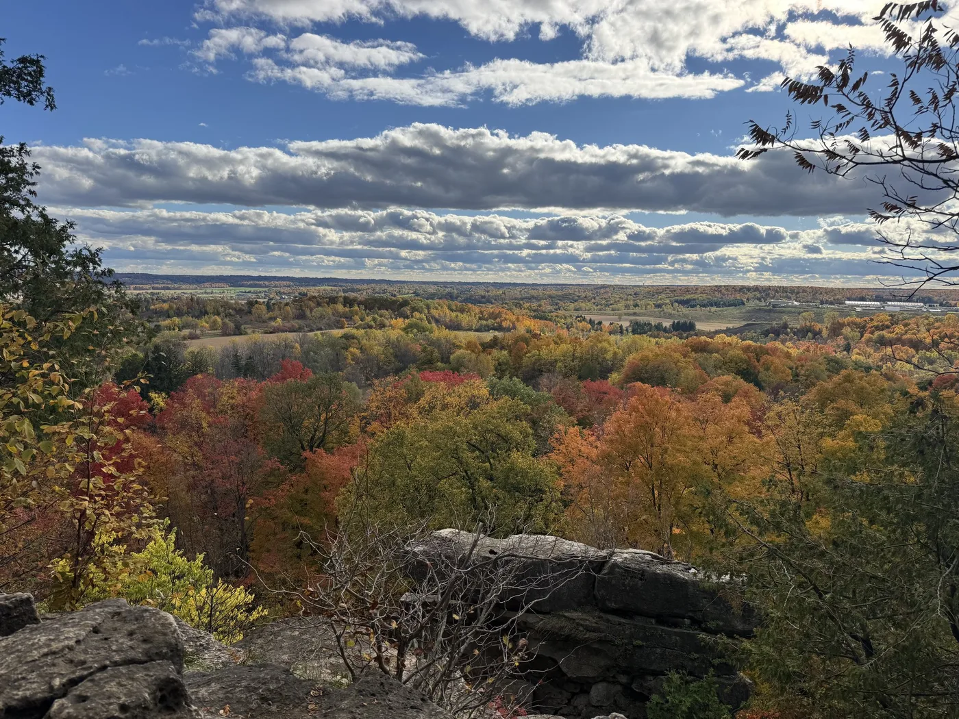 An autumn forest from the top of the escarpment
